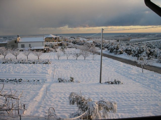 163458_1714250185565_1517513526_31764004_6261259_n