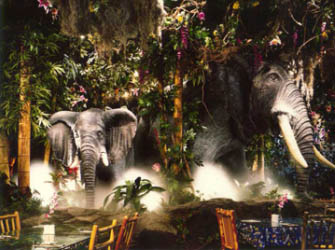 Rainforest-Cafe