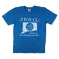 g-fox-and-co-t-shirt-front-bright-blue_grande